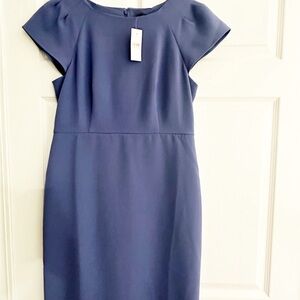 Ann Taylor Blue Sheath Dress with Flutter Cap Sleeves NWT